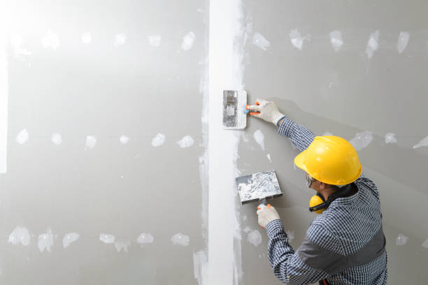 Best Drywall Installation  in Pensacola, FL